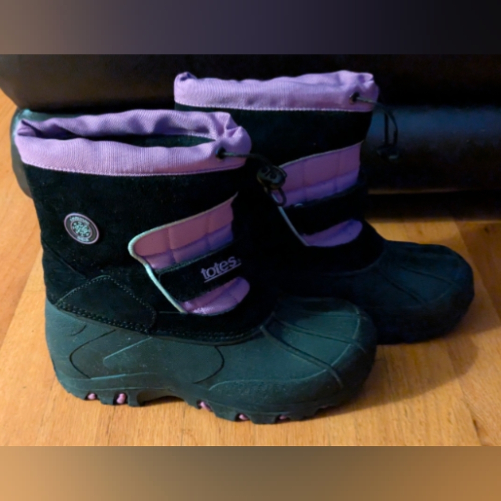 Totes Black and Purple Winter Boots